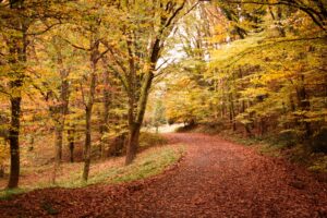 DA hike October news