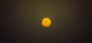 India Starlink moment